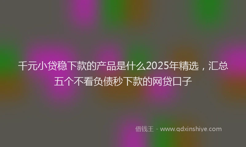 千元小贷稳下款的产品是什么2025年精选，汇总五个不看负债秒下款的网贷口子