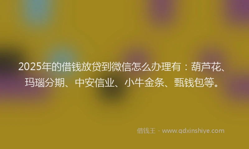 2025年的借钱放贷到微信怎么办理有：葫芦花、玛瑙分期、中安信业、小牛金条、甄钱包等。