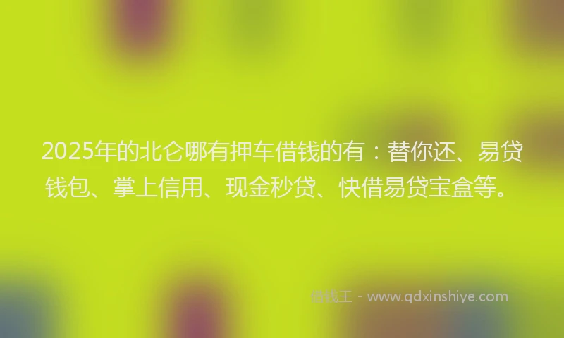 2025年的北仑哪有押车借钱的有：替你还、易贷钱包、掌上信用、现金秒贷、快借易贷宝盒等。