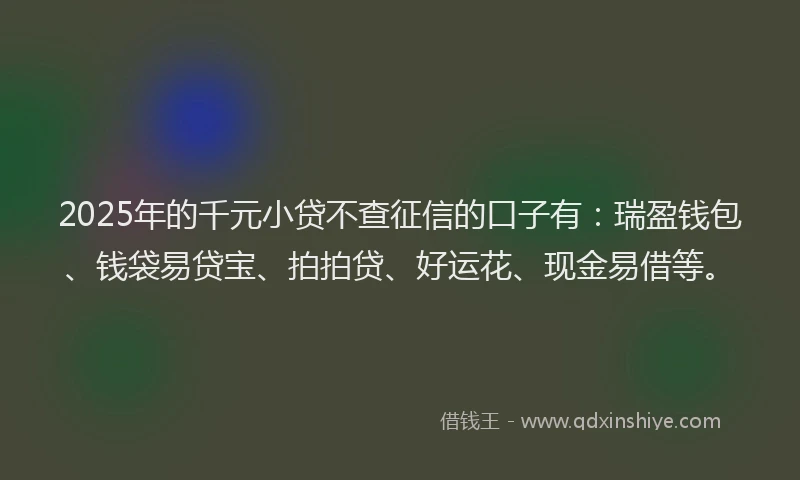 2025年的千元小贷不查征信的口子有：瑞盈钱包、钱袋易贷宝、拍拍贷、好运花、现金易借等。