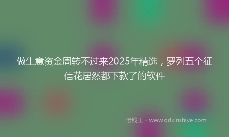 做生意资金周转不过来2025年精选，罗列五个征信花居然都下款了的软件