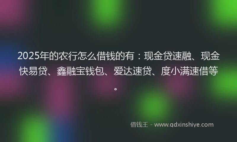 2025年的农行怎么借钱的有：现金贷速融、现金快易贷、鑫融宝钱包、爱达速贷、度小满速借等。