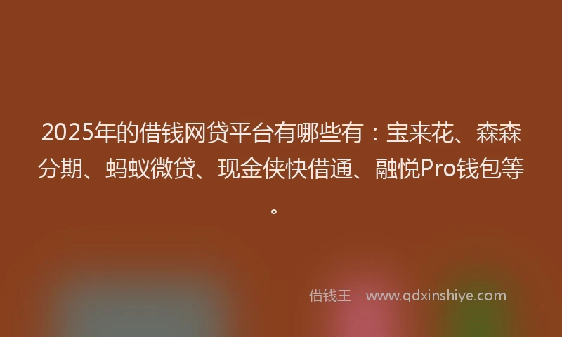 2025年的借钱网贷平台有哪些有：宝来花、森森分期、蚂蚁微贷、现金侠快借通、融悦Pro钱包等。