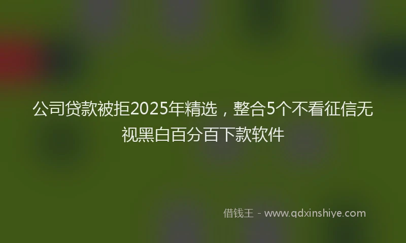 公司贷款被拒2025年精选，整合5个不看征信无视黑白百分百下款软件