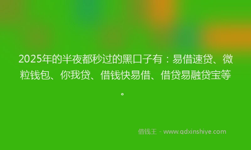 2025年的半夜都秒过的黑口子有：易借速贷、微粒钱包、你我贷、借钱快易借、借贷易融贷宝等。