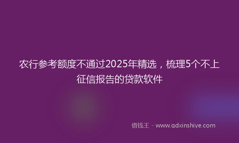 农行参考额度不通过2025年精选，梳理5个不上征信报告的贷款软件