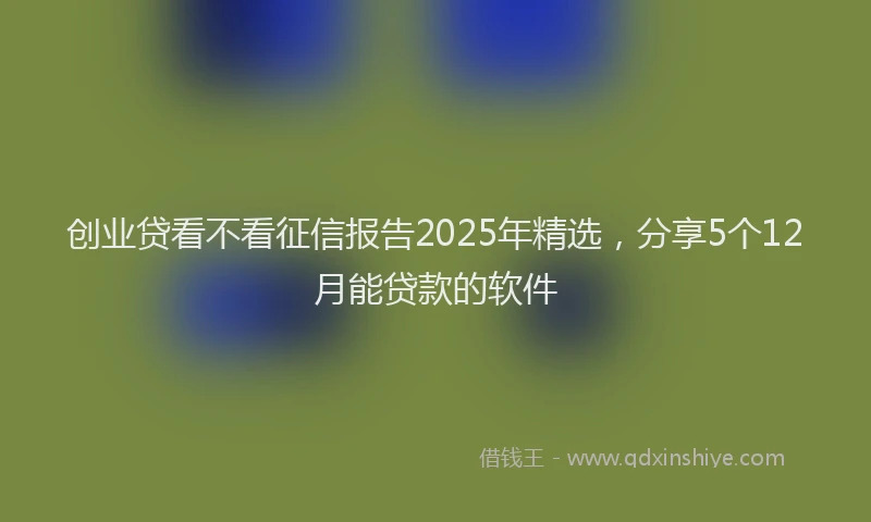 创业贷看不看征信报告2025年精选，分享5个12月能贷款的软件