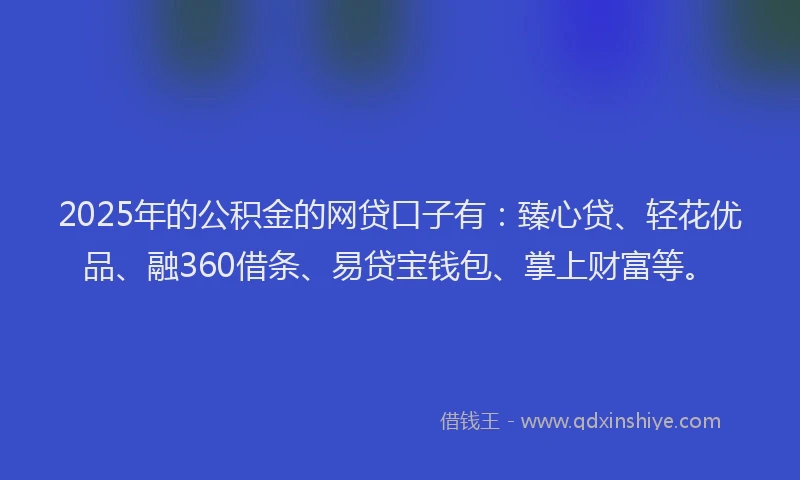 2025年的公积金的网贷口子有：臻心贷、轻花优品、融360借条、易贷宝钱包、掌上财富等。
