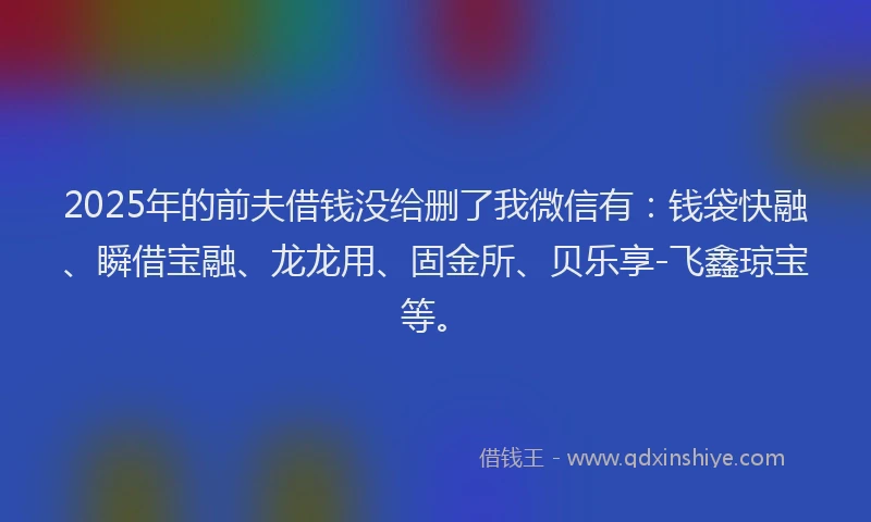 2025年的前夫借钱没给删了我微信有：钱袋快融、瞬借宝融、龙龙用、固金所、贝乐享-飞鑫琼宝等。