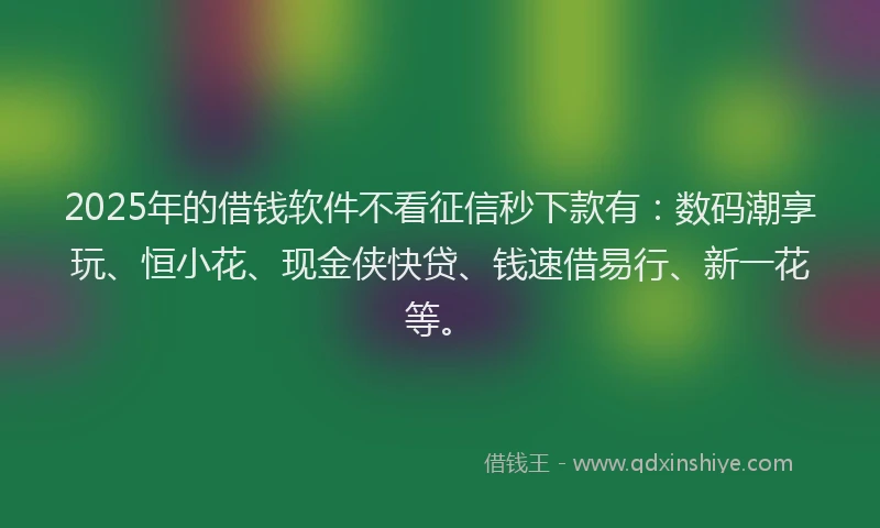 2025年的借钱软件不看征信秒下款有：数码潮享玩、恒小花、现金侠快贷、钱速借易行、新一花等。
