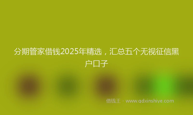 分期管家借钱2025年精选，汇总五个无视征信黑户口子
