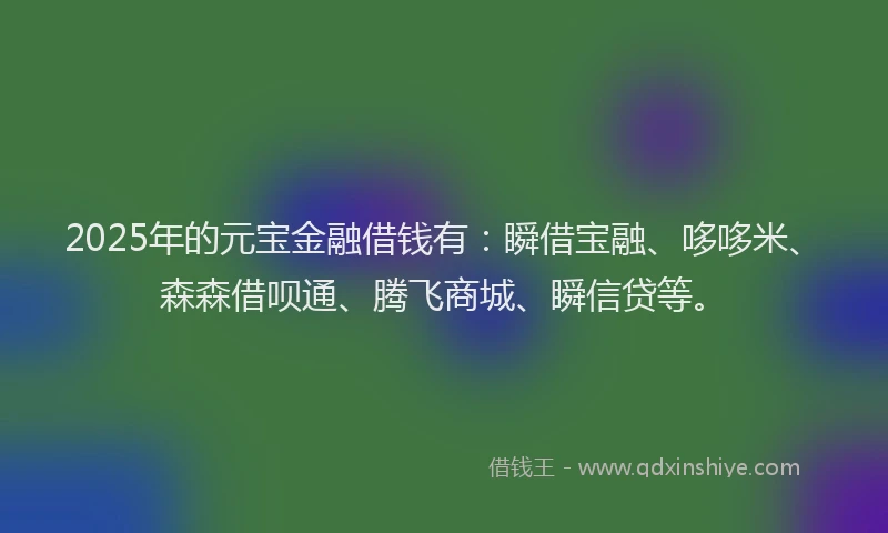 2025年的元宝金融借钱有：瞬借宝融、哆哆米、森森借呗通、腾飞商城、瞬信贷等。