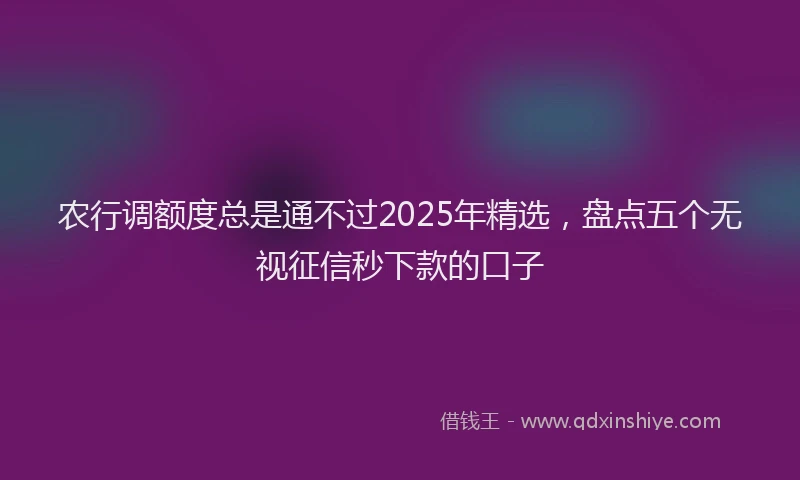 农行调额度总是通不过2025年精选，盘点五个无视征信秒下款的口子