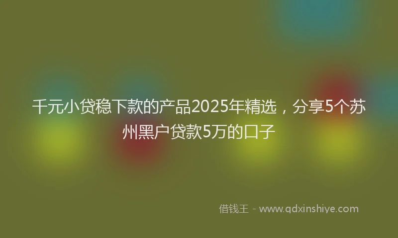 千元小贷稳下款的产品2025年精选，分享5个苏州黑户贷款5万的口子