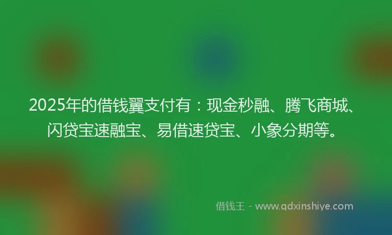 2025年的借钱翼支付有：现金秒融、腾飞商城、闪贷宝速融宝、易借速贷宝、小象分期等。