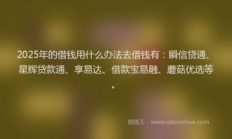 2025年的借钱用什么办法去借钱有：瞬信贷通、星辉贷款通、享易达、借款宝易融、蘑菇优选等。