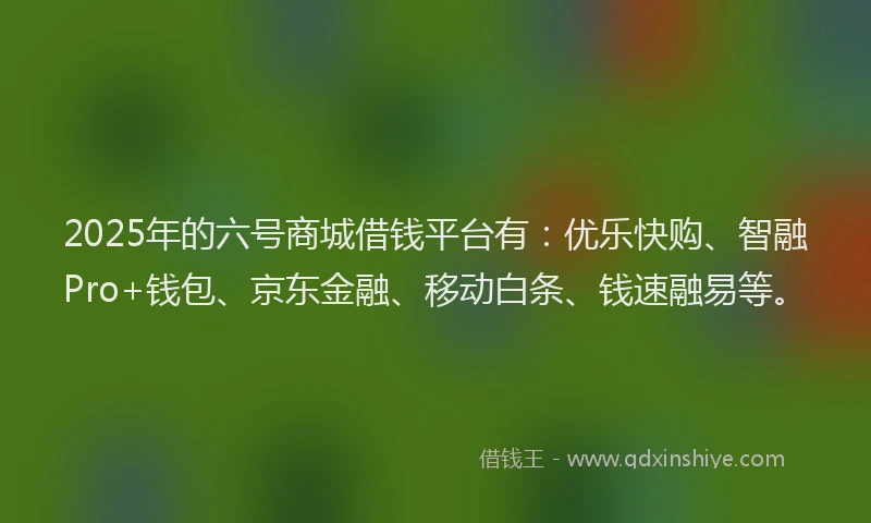 2025年的六号商城借钱平台有：优乐快购、智融Pro+钱包、京东金融、移动白条、钱速融易等。