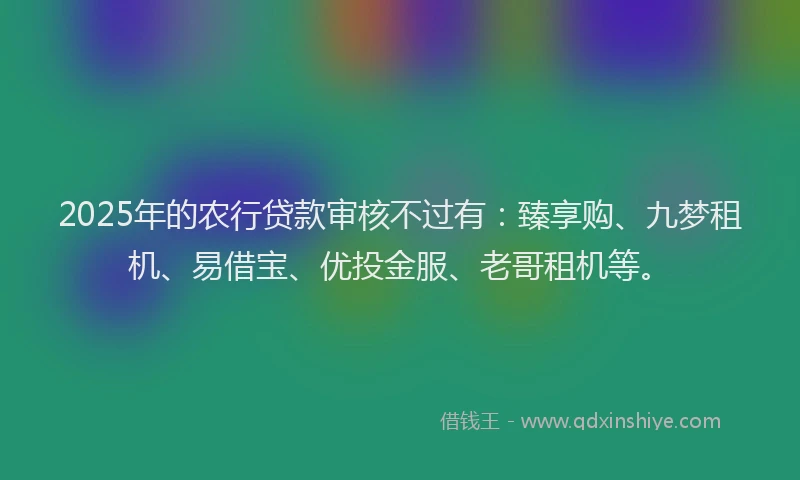 2025年的农行贷款审核不过有：臻享购、九梦租机、易借宝、优投金服、老哥租机等。