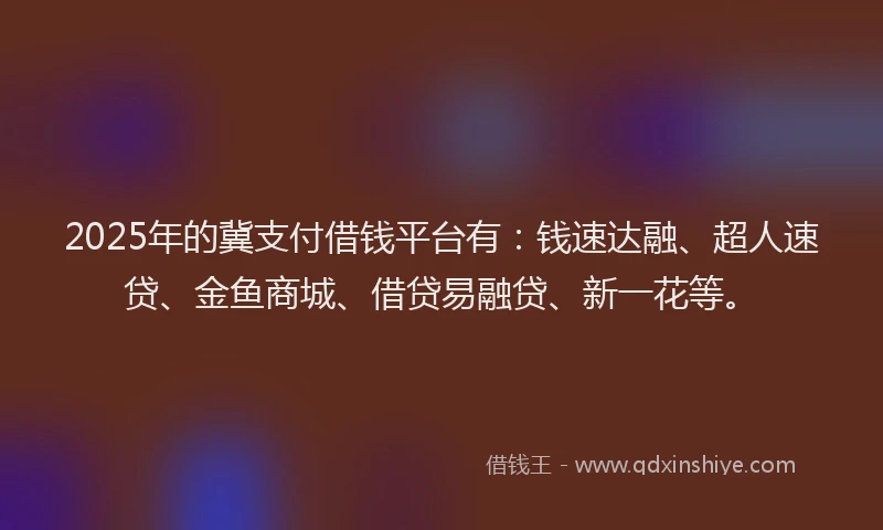 2025年的冀支付借钱平台有：钱速达融、超人速贷、金鱼商城、借贷易融贷、新一花等。