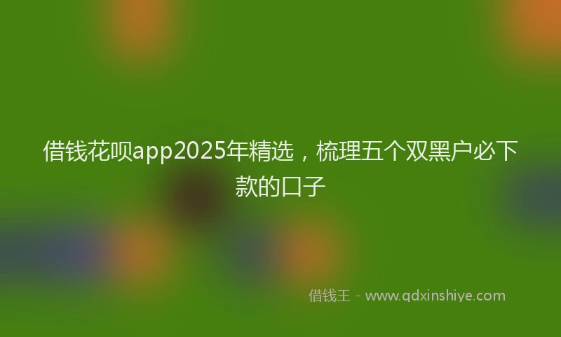 借钱花呗app2025年精选，梳理五个双黑户必下款的口子