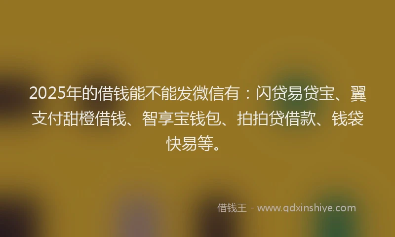 2025年的借钱能不能发微信有：闪贷易贷宝、翼支付甜橙借钱、智享宝钱包、拍拍贷借款、钱袋快易等。