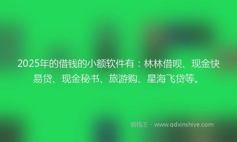 2025年的借钱的小额软件有：林林借呗、现金快易贷、现金秘书、旅游购、星海飞贷等。