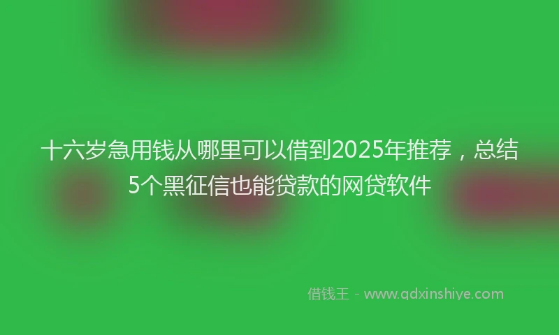 十六岁急用钱从哪里可以借到2025年推荐，总结5个黑征信也能贷款的网贷软件