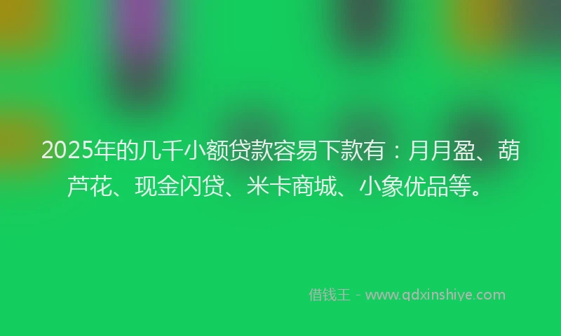 2025年的几千小额贷款容易下款有：月月盈、葫芦花、现金闪贷、米卡商城、小象优品等。