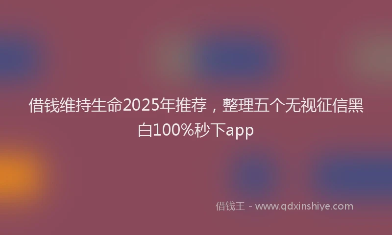 借钱维持生命2025年推荐，整理五个无视征信黑白100%秒下app