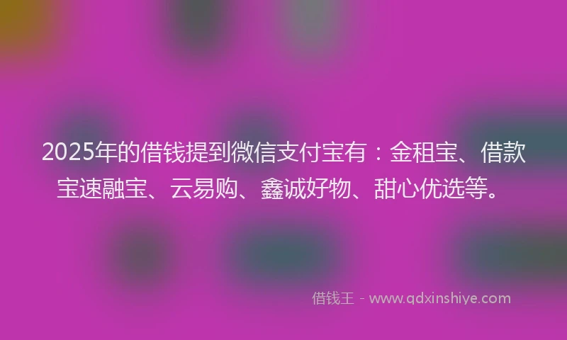 2025年的借钱提到微信支付宝有：金租宝、借款宝速融宝、云易购、鑫诚好物、甜心优选等。