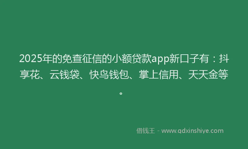 2025年的免查征信的小额贷款app新口子有：抖享花、云钱袋、快鸟钱包、掌上信用、天天金等。