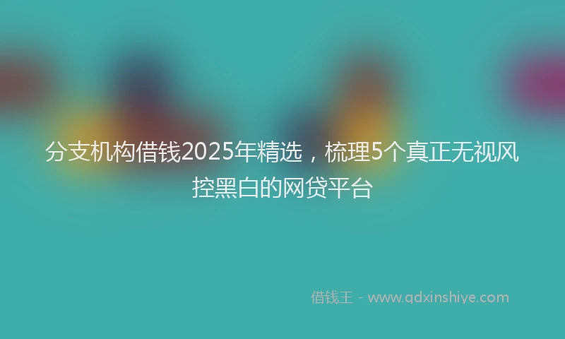 分支机构借钱2025年精选，梳理5个真正无视风控黑白的网贷平台