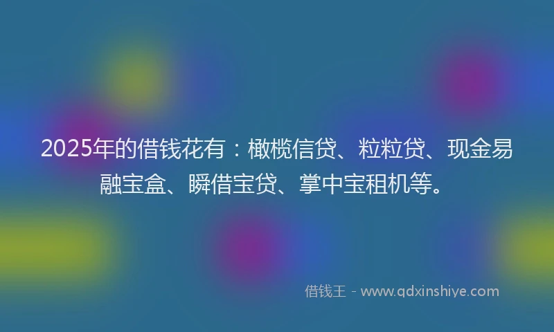 2025年的借钱花有：橄榄信贷、粒粒贷、现金易融宝盒、瞬借宝贷、掌中宝租机等。