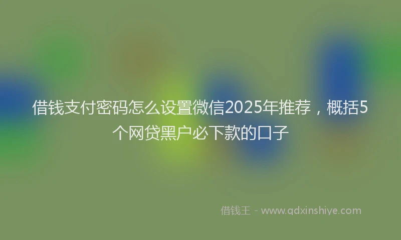借钱支付密码怎么设置微信2025年推荐，概括5个网贷黑户必下款的口子