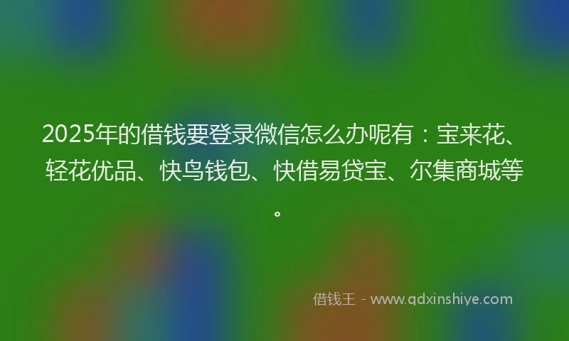 2025年的借钱要登录微信怎么办呢有：宝来花、轻花优品、快鸟钱包、快借易贷宝、尔集商城等。