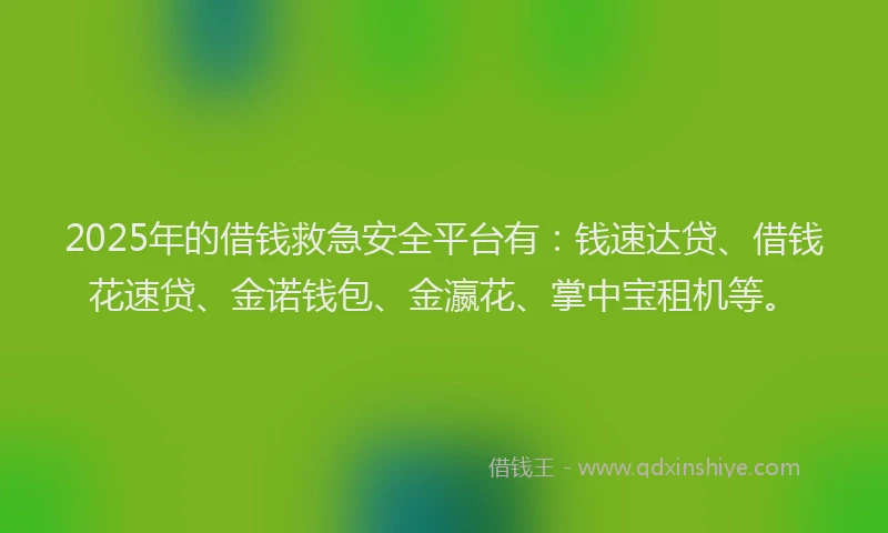 2025年的借钱救急安全平台有：钱速达贷、借钱花速贷、金诺钱包、金瀛花、掌中宝租机等。