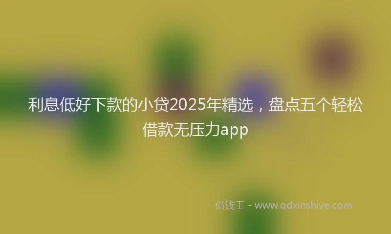 利息低好下款的小贷2025年精选，盘点五个轻松借款无压力app