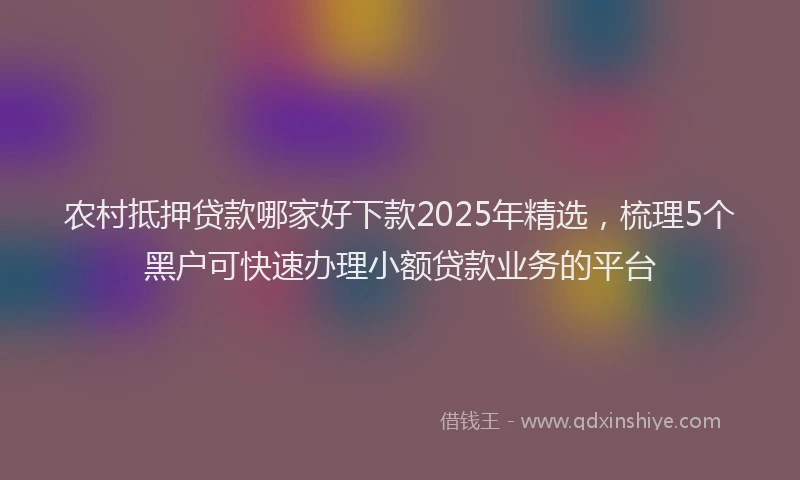 农村抵押贷款哪家好下款2025年精选，梳理5个黑户可快速办理小额贷款业务的平台
