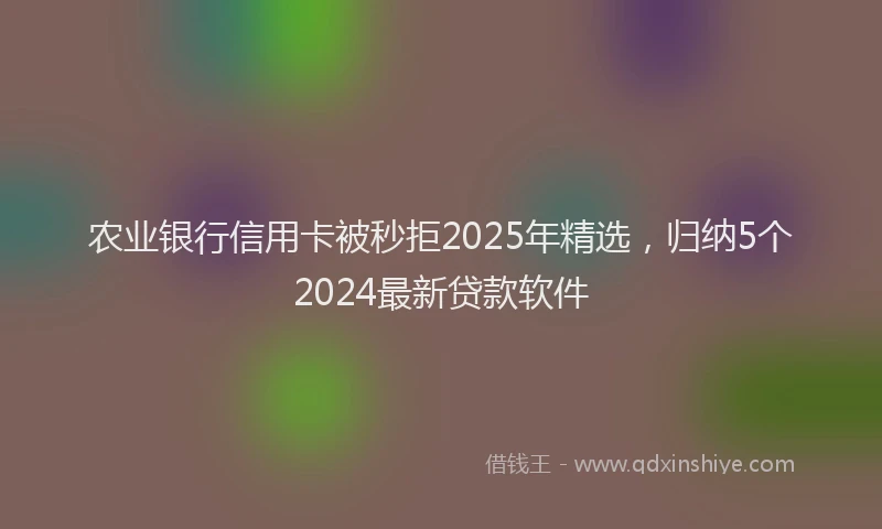 农业银行信用卡被秒拒2025年精选，归纳5个2024最新贷款软件