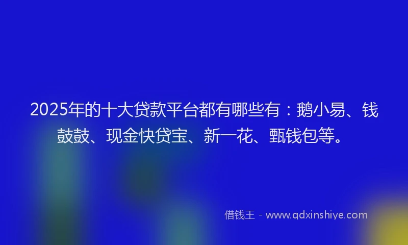 2025年的十大贷款平台都有哪些有：鹅小易、钱鼓鼓、现金快贷宝、新一花、甄钱包等。