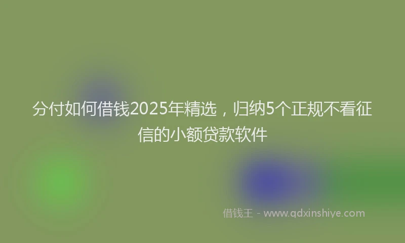 分付如何借钱2025年精选，归纳5个正规不看征信的小额贷款软件