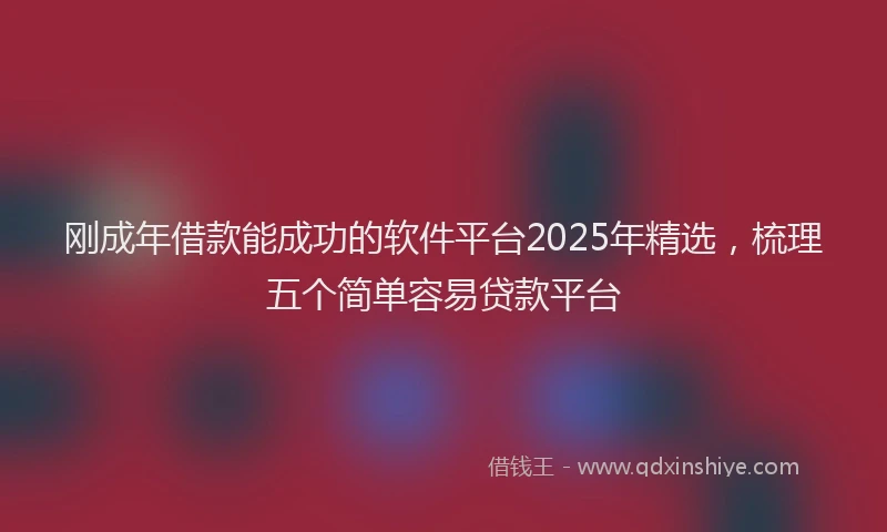 刚成年借款能成功的软件平台2025年精选，梳理五个简单容易贷款平台