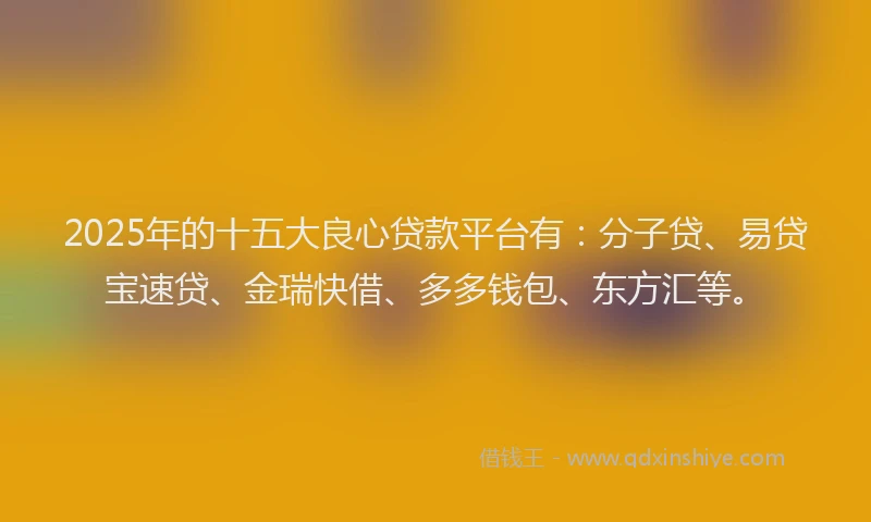 2025年的十五大良心贷款平台有：分子贷、易贷宝速贷、金瑞快借、多多钱包、东方汇等。