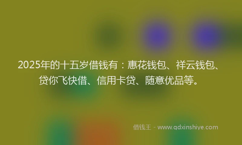 2025年的十五岁借钱有：惠花钱包、祥云钱包、贷你飞快借、信用卡贷、随意优品等。