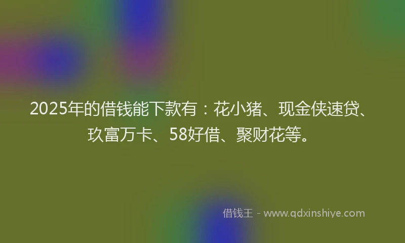 2025年的借钱能下款有：花小猪、现金侠速贷、玖富万卡、58好借、聚财花等。