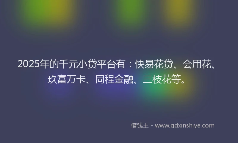 2025年的千元小贷平台有：快易花贷、会用花、玖富万卡、同程金融、三枝花等。