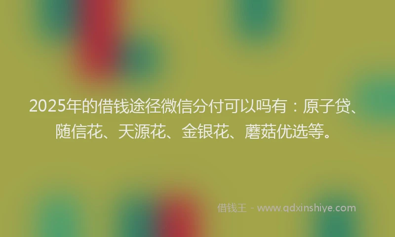 2025年的借钱途径微信分付可以吗有：原子贷、随信花、天源花、金银花、蘑菇优选等。
