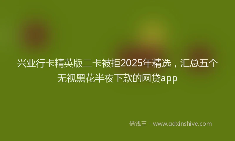 兴业行卡精英版二卡被拒2025年精选，汇总五个无视黑花半夜下款的网贷app