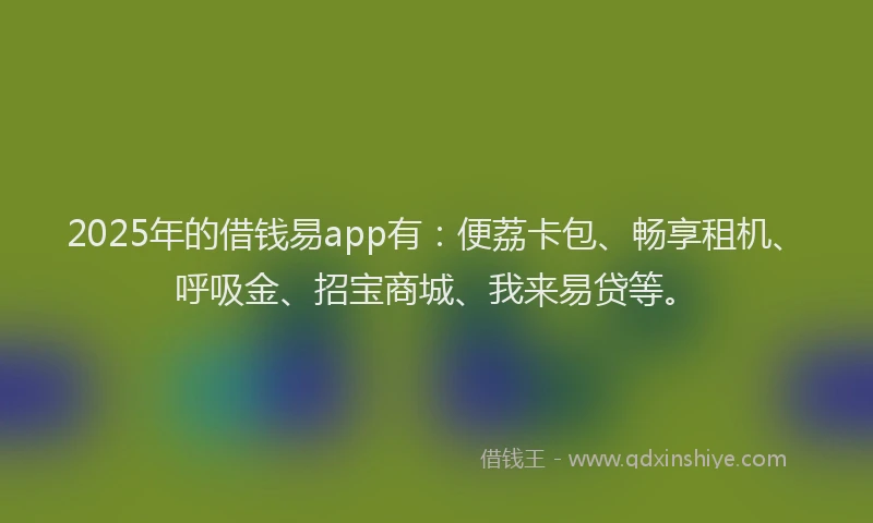 2025年的借钱易app有：便荔卡包、畅享租机、呼吸金、招宝商城、我来易贷等。