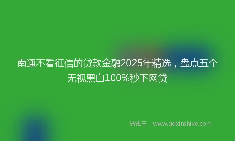 南通不看征信的贷款金融2025年精选，盘点五个无视黑白100%秒下网贷